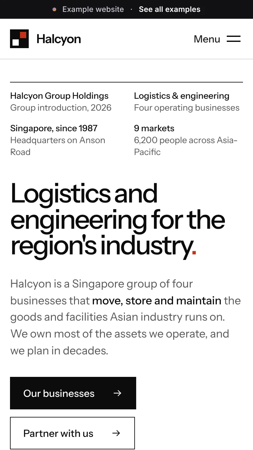Corporate group example website, top of the home page on a phone